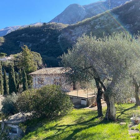 Ferienwohnung Olive Grove House Malcesine Exterior foto