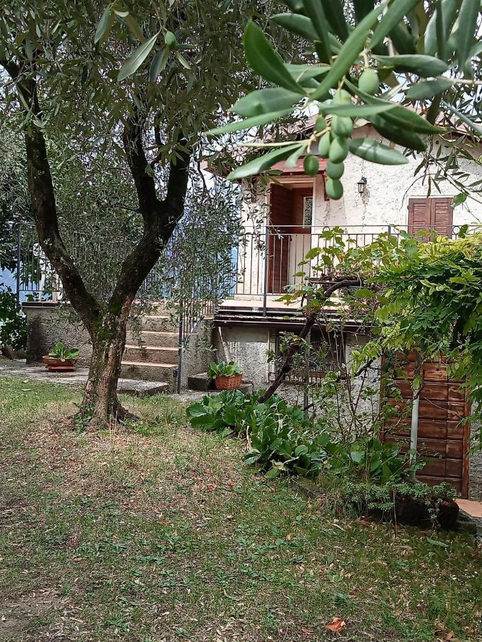 Ferienwohnung Olive Grove House Malcesine Exterior foto
