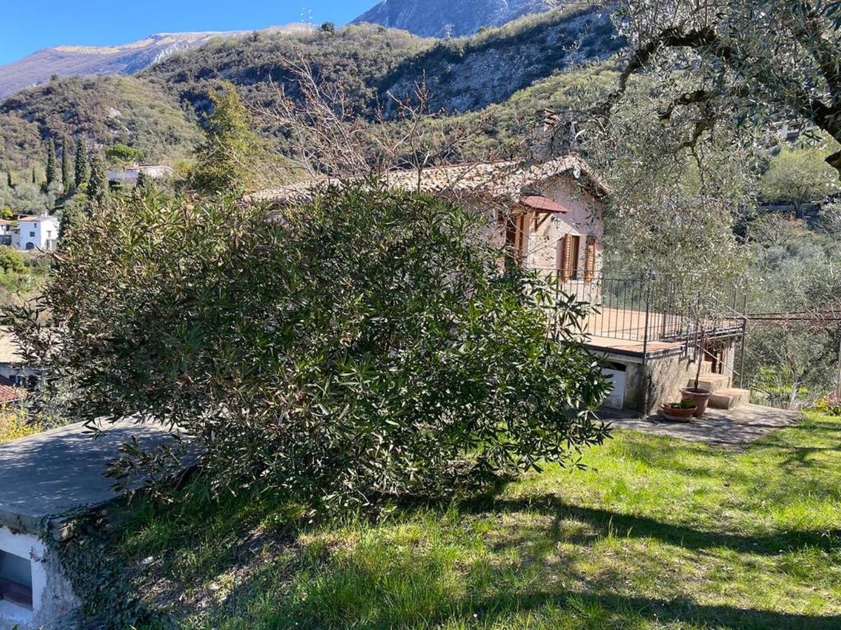 Ferienwohnung Olive Grove House Malcesine Exterior foto