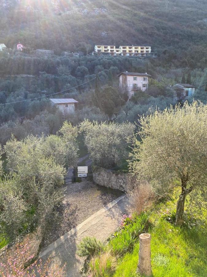 Ferienwohnung Olive Grove House Malcesine Exterior foto